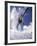 Skier Kicking Up Powder as He Jumps over Hill-George Silk-Framed Photographic Print