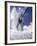 Skier Kicking Up Powder as He Jumps over Hill-George Silk-Framed Photographic Print