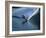 Skier Speeding, Water Spraying-null-Framed Photographic Print