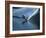 Skier Speeding, Water Spraying-null-Framed Photographic Print