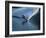 Skier Speeding, Water Spraying-null-Framed Photographic Print