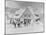 Skiers at the Stevens Pass ski lodge Photograph - Seattle, WA-Lantern Press-Mounted Art Print