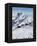 Skiers, Mountain Scenery in Cervinia Ski Resort, Cervinia, Valle D'Aosta, Italian Alps, Italy-Christian Kober-Framed Premier Image Canvas