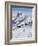 Skiers, Mountain Scenery in Cervinia Ski Resort, Cervinia, Valle D'Aosta, Italian Alps, Italy-Christian Kober-Framed Photographic Print