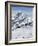 Skiers, Mountain Scenery in Cervinia Ski Resort, Cervinia, Valle D'Aosta, Italian Alps, Italy-Christian Kober-Framed Photographic Print