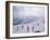 Skiers, Steinberkogel Area, Kitzbuhel, Austria-Adam Woolfitt-Framed Photographic Print