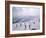 Skiers, Steinberkogel Area, Kitzbuhel, Austria-Adam Woolfitt-Framed Photographic Print