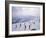 Skiers, Steinberkogel Area, Kitzbuhel, Austria-Adam Woolfitt-Framed Photographic Print