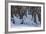 Skiers Underneath the Frozen Waterfall, Ski Piste-Mark Doherty-Framed Photographic Print