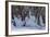 Skiers Underneath the Frozen Waterfall, Ski Piste-Mark Doherty-Framed Photographic Print