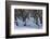 Skiers Underneath the Frozen Waterfall, Ski Piste-Mark Doherty-Framed Photographic Print