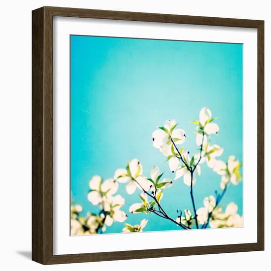 Skies of Blue-Carolyn Cochrane-Framed Photographic Print