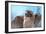 Skies of Yellowstone - Redtail Hawk-Gordon Semmens-Framed Photographic Print