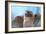 Skies of Yellowstone - Redtail Hawk-Gordon Semmens-Framed Photographic Print