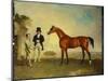 Skiff, a Bay Racehorse Held by a Groom on Newmarket Heath, with John Howe-Benjamin Marshall-Mounted Giclee Print