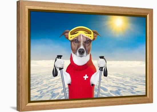 Skiing Dog-Javier Brosch-Framed Premier Image Canvas