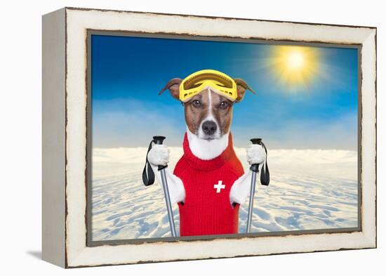 Skiing Dog-Javier Brosch-Framed Premier Image Canvas