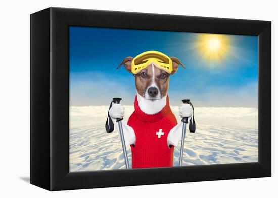 Skiing Dog-Javier Brosch-Framed Premier Image Canvas