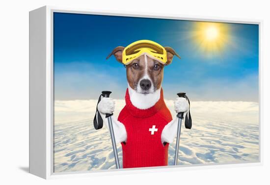 Skiing Dog-Javier Brosch-Framed Premier Image Canvas