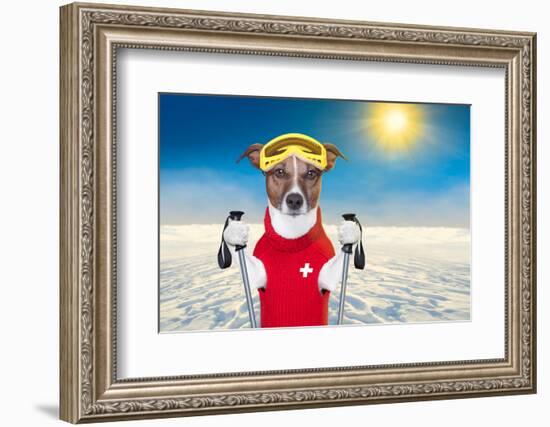 Skiing Dog-Javier Brosch-Framed Photographic Print