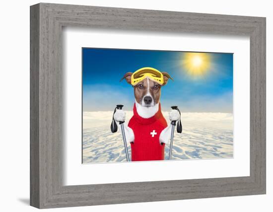 Skiing Dog-Javier Brosch-Framed Photographic Print