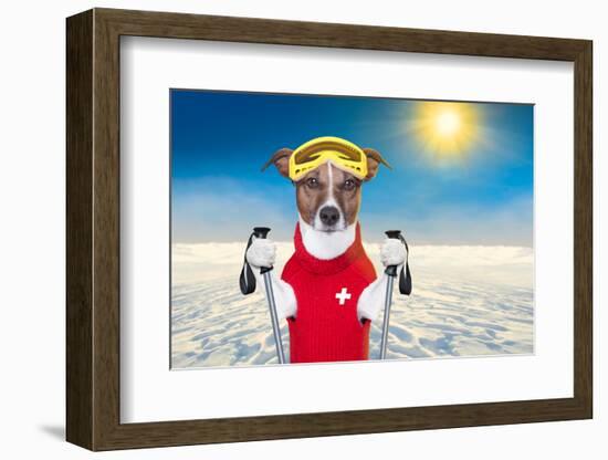 Skiing Dog-Javier Brosch-Framed Photographic Print