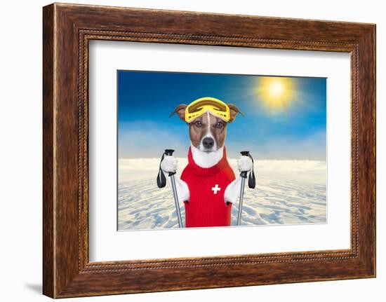 Skiing Dog-Javier Brosch-Framed Photographic Print