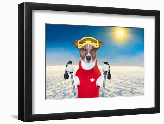 Skiing Dog-Javier Brosch-Framed Photographic Print