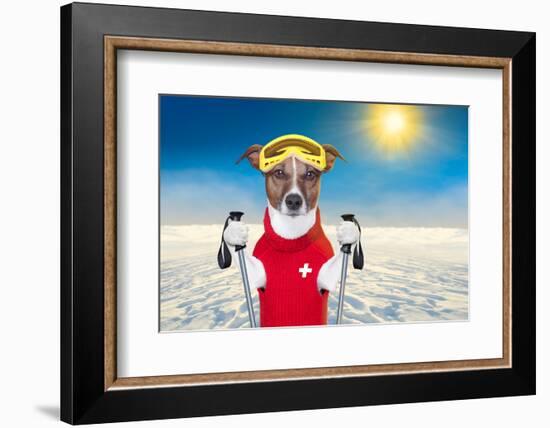 Skiing Dog-Javier Brosch-Framed Photographic Print