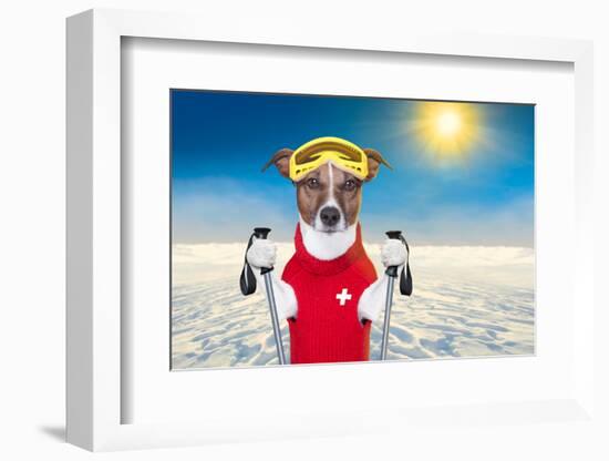 Skiing Dog-Javier Brosch-Framed Photographic Print