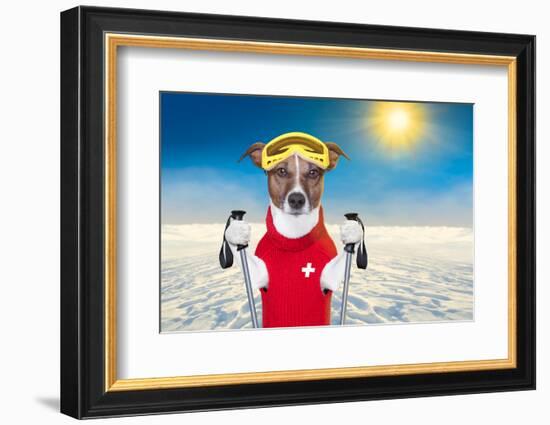 Skiing Dog-Javier Brosch-Framed Photographic Print