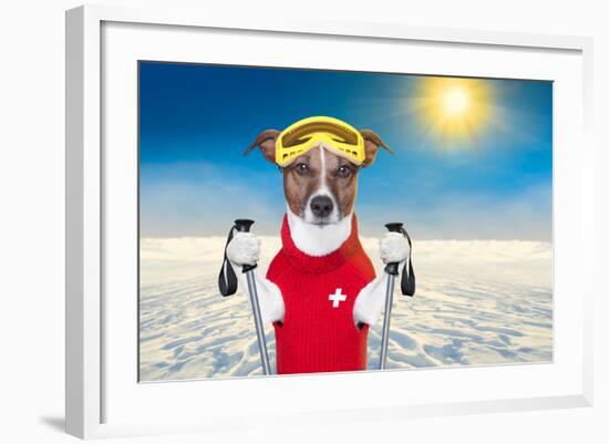 Skiing Dog-Javier Brosch-Framed Photographic Print