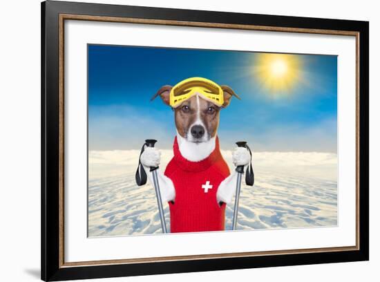 Skiing Dog-Javier Brosch-Framed Photographic Print