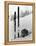 Skiing Equipment-null-Framed Premier Image Canvas