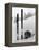 Skiing Equipment-null-Framed Premier Image Canvas