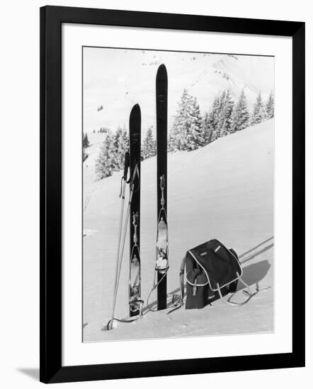 Photographic Print, , large