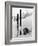 Skiing Equipment-null-Framed Photographic Print