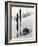 Skiing Equipment-null-Framed Photographic Print