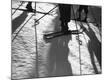 Premium Photographic Print