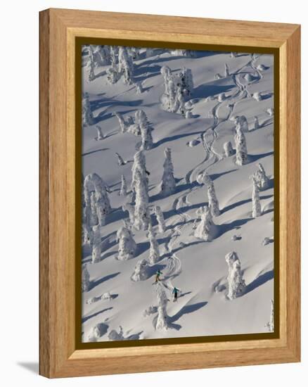 Skiing Through the Snowghosts at Whitefish Mountain Resort, Montana, USA-Chuck Haney-Framed Premier Image Canvas