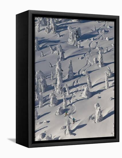 Skiing Through the Snowghosts at Whitefish Mountain Resort, Montana, USA-Chuck Haney-Framed Premier Image Canvas