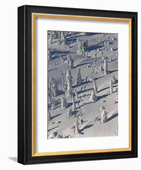 Skiing Through the Snowghosts at Whitefish Mountain Resort, Montana, USA-Chuck Haney-Framed Photographic Print