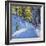 Skiing Through the Woods, La Clusaz, 2012-Andrew Macara-Framed Giclee Print