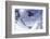 Skiing, Tristkopf, Kelchsau, Tyrol, Austria (Mr)-Norbert Eisele-Hein-Framed Photographic Print