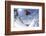 Skiing, Tristkopf, Kelchsau, Tyrol, Austria (Mr)-Norbert Eisele-Hein-Framed Photographic Print