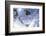 Skiing, Tristkopf, Kelchsau, Tyrol, Austria (Mr)-Norbert Eisele-Hein-Framed Photographic Print