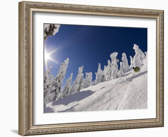 Skiing Untracked Powder at Whitefish Mountain Resort, Montana, Usa-Chuck Haney-Framed Photographic Print