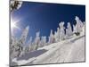 Skiing Untracked Powder at Whitefish Mountain Resort, Montana, Usa-Chuck Haney-Mounted Photographic Print