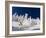 Skiing Untracked Powder on a Sunny Day at Whitefish Mountain Resort, Montana, Usa-Chuck Haney-Framed Photographic Print