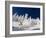 Skiing Untracked Powder on a Sunny Day at Whitefish Mountain Resort, Montana, Usa-Chuck Haney-Framed Photographic Print